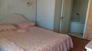 Отель Гостиница Аист Тирасполь Двухместный номер Делюкс с 1 кроватью и дополнительной кроватью-11